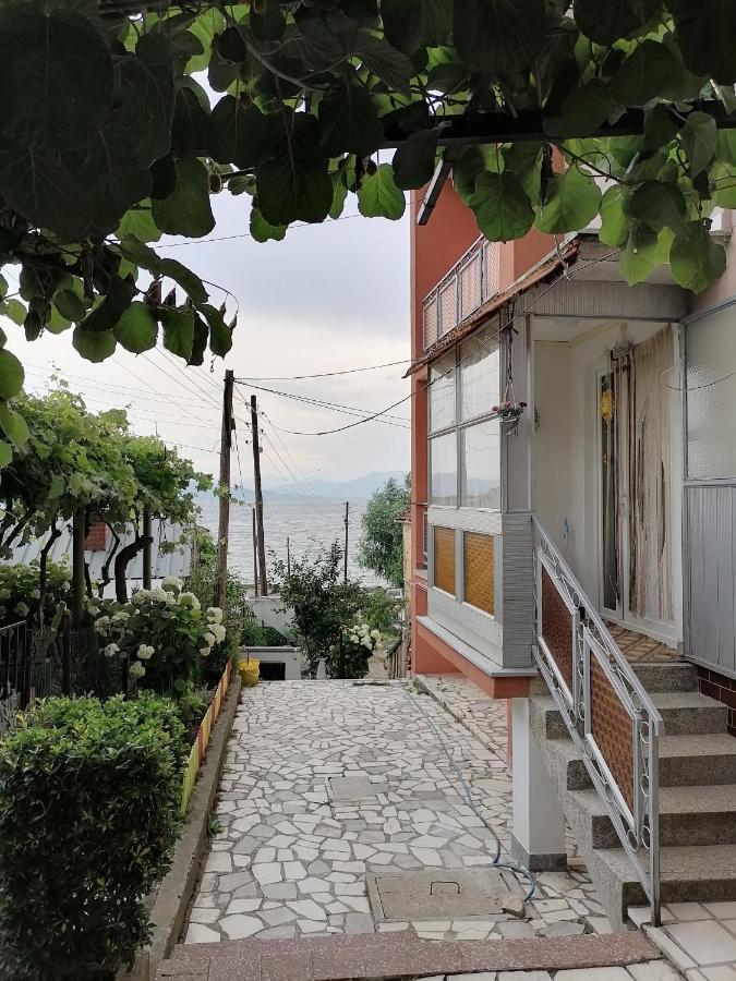 Villa Shine Struga Ngoại thất bức ảnh